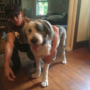 Meet your Posher, Keith